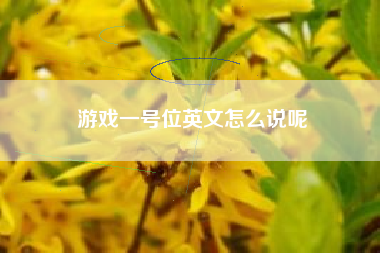 游戏一号位英文怎么说呢