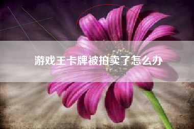 游戏王卡牌被拍卖了怎么办