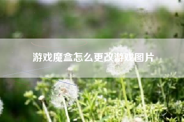 游戏魔盒怎么更改游戏图片