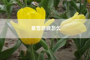 暴雪游戏怎么