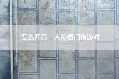 怎么开第一人称看门狗游戏