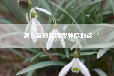 怎么看最近游戏登陆地点