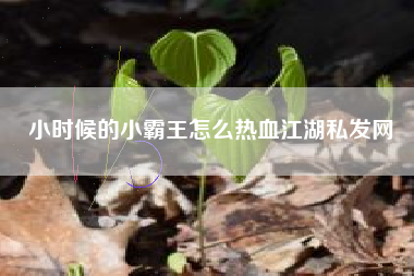 小时候的小霸王怎么热血江湖私发网