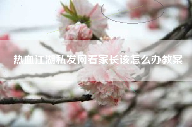 热血江湖私发网看家长该怎么办教案