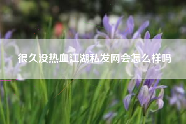 很久没热血江湖私发网会怎么样吗  第1张