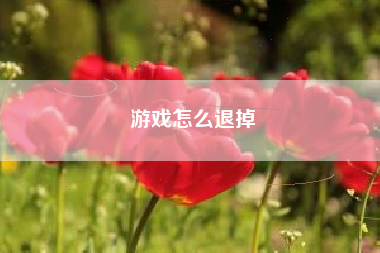 游戏怎么退掉  第1张