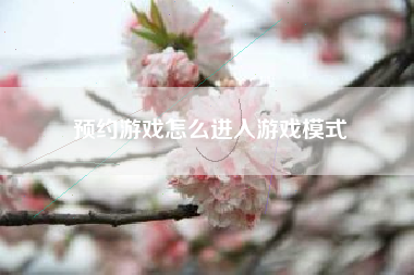 预约游戏怎么进入游戏模式