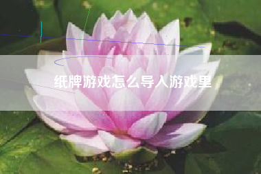 纸牌游戏怎么导入游戏里