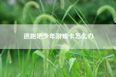 逃跑吧少年游戏卡怎么办