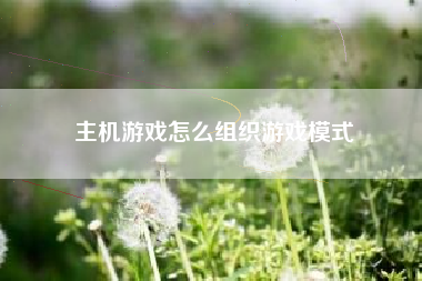 主机游戏怎么组织游戏模式
