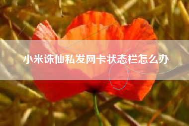 小米诛仙私发网卡状态栏怎么办