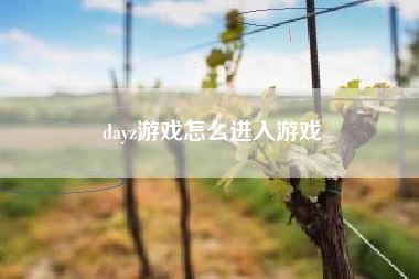 dayz游戏怎么进入游戏