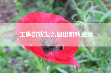 王牌游戏怎么退出游戏登录