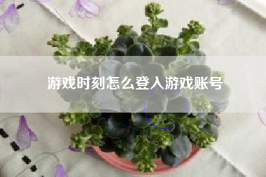 游戏时刻怎么登入游戏账号