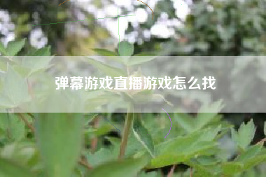 弹幕游戏直播游戏怎么找
