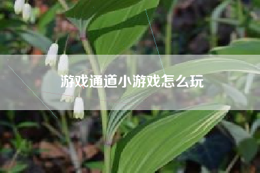 游戏通道小游戏怎么玩