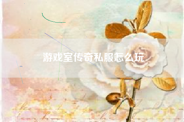游戏室传奇私服怎么玩