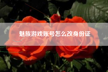 魅族游戏账号怎么改身份证