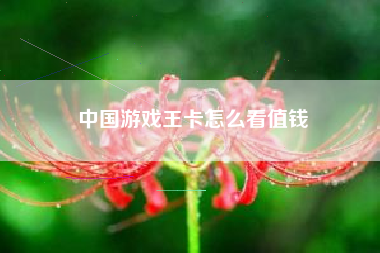 中国游戏王卡怎么看值钱