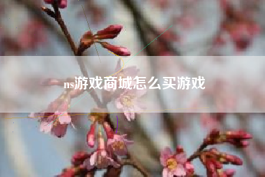 ns游戏商城怎么买游戏