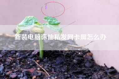 新装电脑诛仙私发网卡屏怎么办