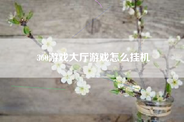 360游戏大厅游戏怎么挂机
