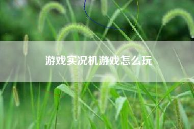 游戏实况机游戏怎么玩