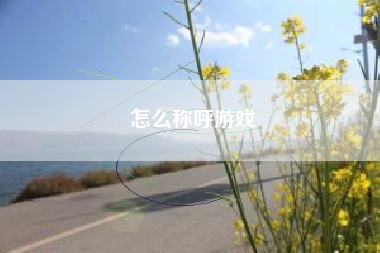 怎么称呼游戏