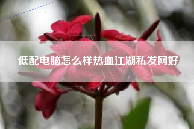 低配电脑怎么样热血江湖私发网好