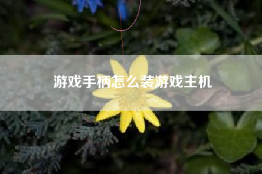 游戏手柄怎么装游戏主机