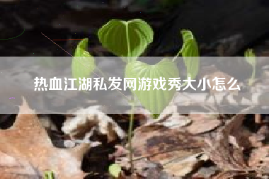 热血江湖私发网游戏秀大小怎么