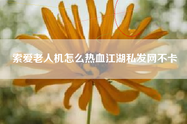 索爱老人机怎么热血江湖私发网不卡