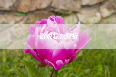 游戏怎么分析