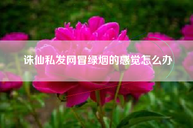 诛仙私发网冒绿烟的感觉怎么办