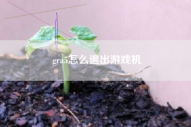 gra5怎么退出游戏机