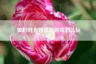 美好时光冒险岛游戏怎么玩