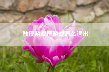 触摸游戏屏游戏怎么退出