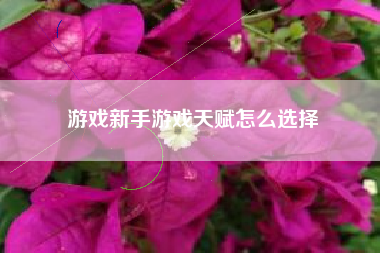 游戏新手游戏天赋怎么选择