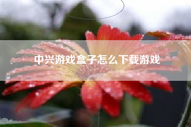 中兴游戏盒子怎么下载游戏