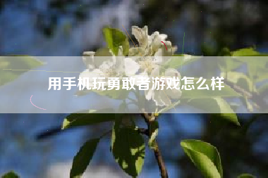 用手机玩勇敢者游戏怎么样