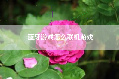 蓝牙游戏怎么联机游戏