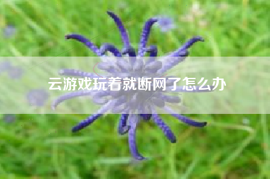 云游戏玩着就断网了怎么办