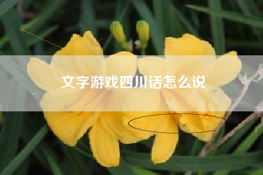 文字游戏四川话怎么说  第1张
