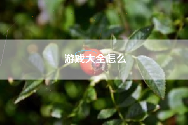 游戏大全怎么