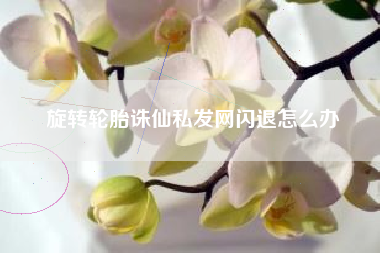 旋转轮胎诛仙私发网闪退怎么办