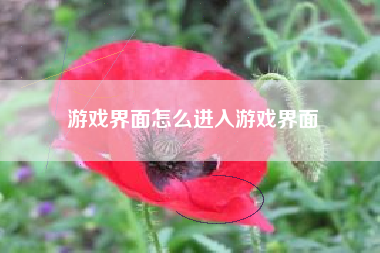 游戏界面怎么进入游戏界面