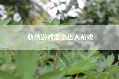 收纳游戏怎么进入游戏