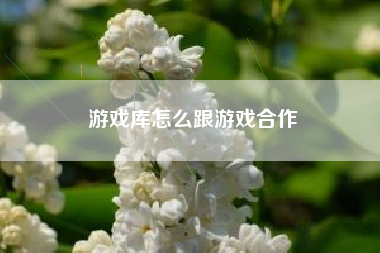 游戏库怎么跟游戏合作  第1张