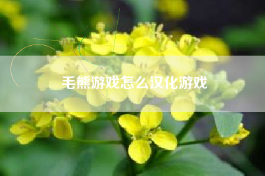 毛熊游戏怎么汉化游戏