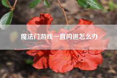 魔法门游戏一直闪退怎么办